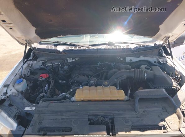 1FTMF1C88GKD05302 2016 FORD F150 White Widok z tyłu