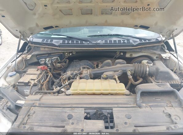 1FTMF1CB2KKD86754 2019 FORD F150 White Vista trasera