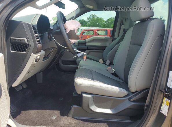 1FTMF1CB3KKE45116 2019 FORD F150 Gray Front interior view