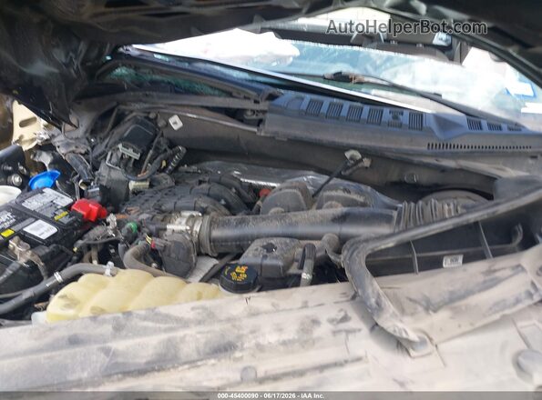 1FTMF1CB3LKD16424 2020 FORD F150 Gray უკანა ხედი