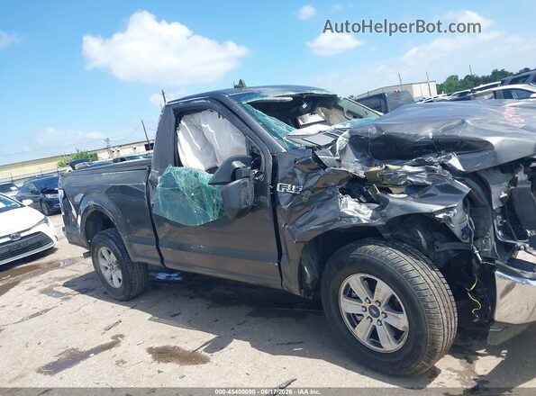 1FTMF1CB3LKD16424 2020 FORD F150 Gray უკანა სალონის ხედი