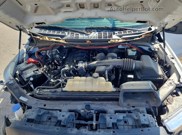 1FTMF1CB4MKE25119 2021 FORD F150 White Սալոնի հետևի տեսք
