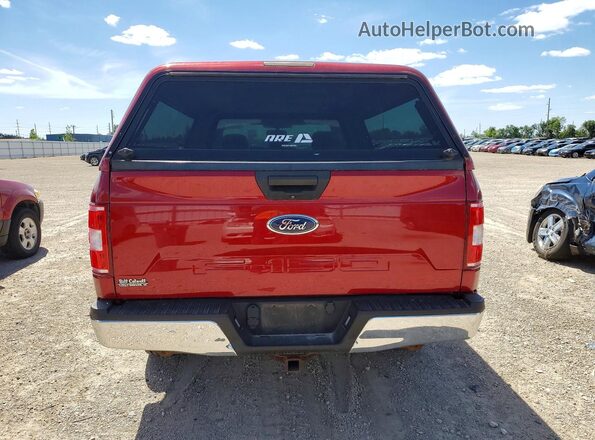 1FTMF1CB6KKD81752 2019 FORD F150 Red 