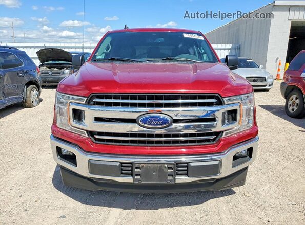 1FTMF1CB6KKD81752 2019 FORD F150 Red 