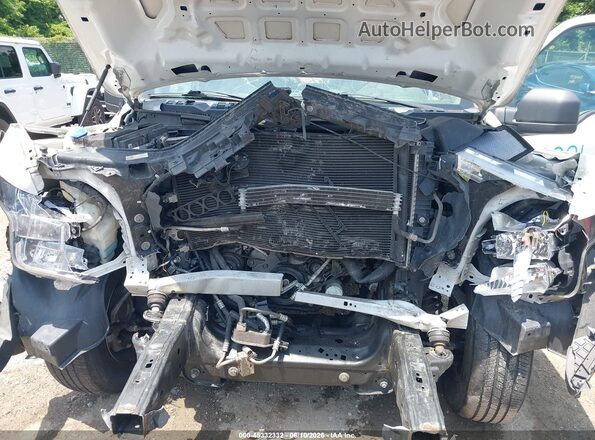 1FTMF1CB8KKC08119 2019 FORD F150 White Widok z tyłu