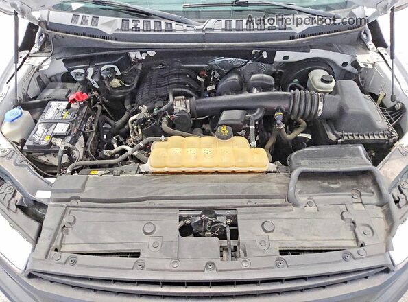 1FTMF1CB8KKE10622 2019 FORD F150 White უკანა სალონის ხედი