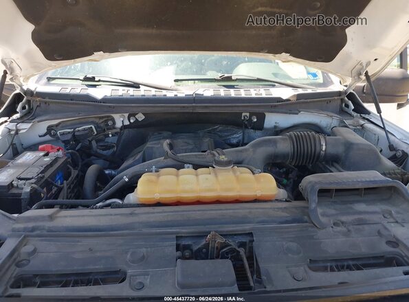 1FTMF1CP5GFD15673 2016 FORD F150 White უკანა ხედი