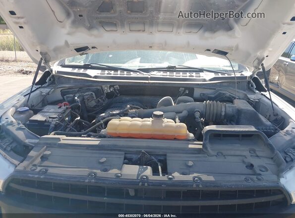 1FTMF1EB1JKE49614 2018 FORD F150 Белый 