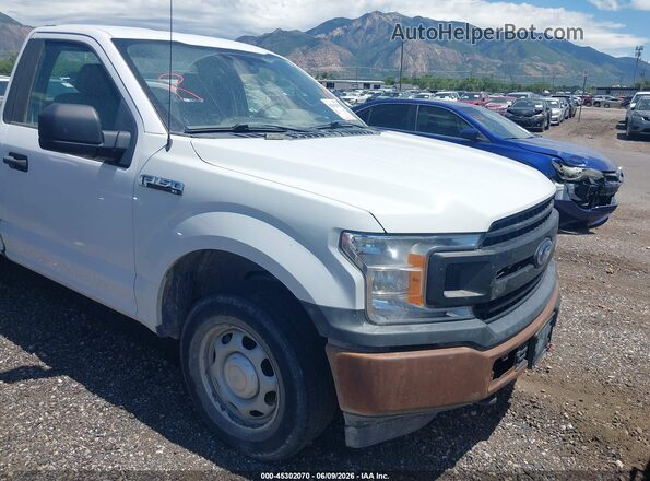 1FTMF1EB1JKE49614 2018 FORD F150 Белый 