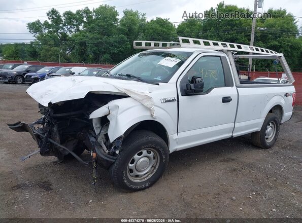 1FTMF1EB6JKG08904 2018 FORD F150 White Դիմացի տեսք