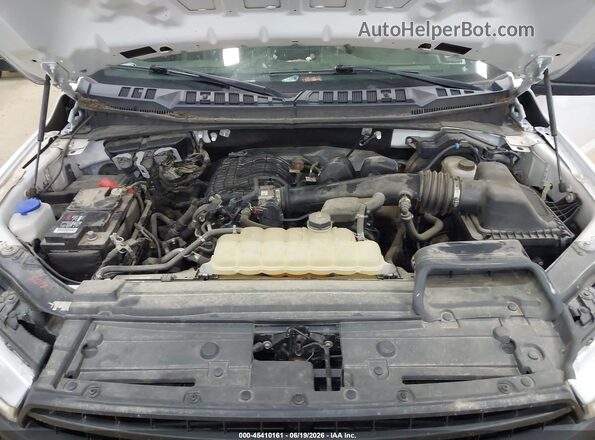 1FTMF1EB6KKD75611 2019 FORD F150 Белый Вид сзади