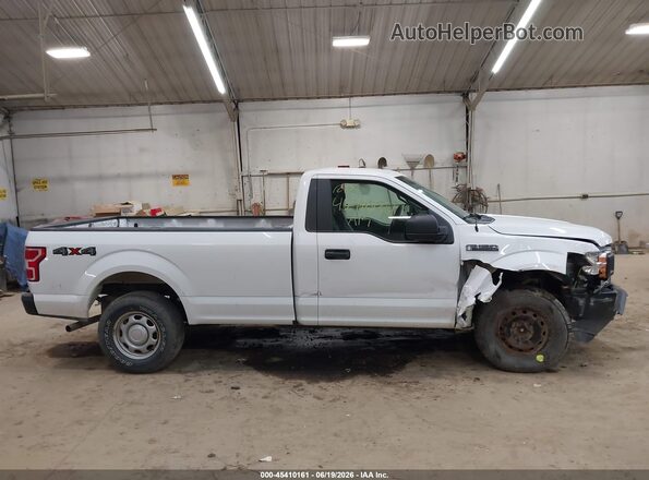 1FTMF1EB6KKD75611 2019 FORD F150 Белый Вид задней части салона