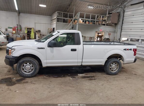 1FTMF1EB6KKD75611 2019 FORD F150 Белый Панорамный вид салона 360°