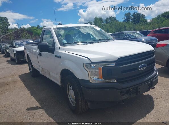 1FTMF1EBXKKD31482 2019 FORD F150 White Вид задньої частини салону