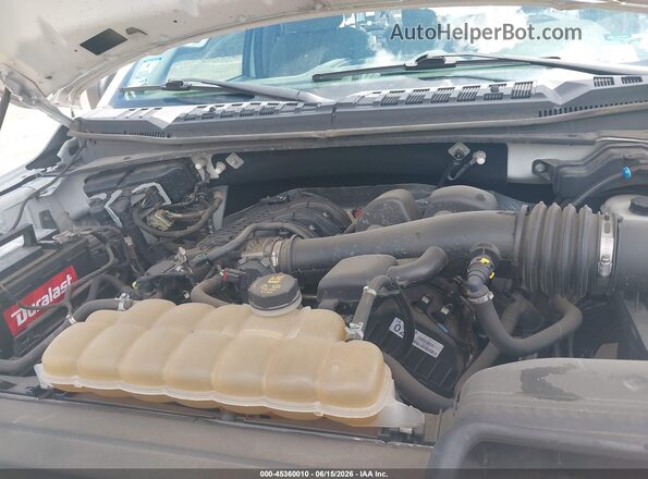 1FTMF1EBXKKD31482 2019 FORD F150 White Вид ззаду