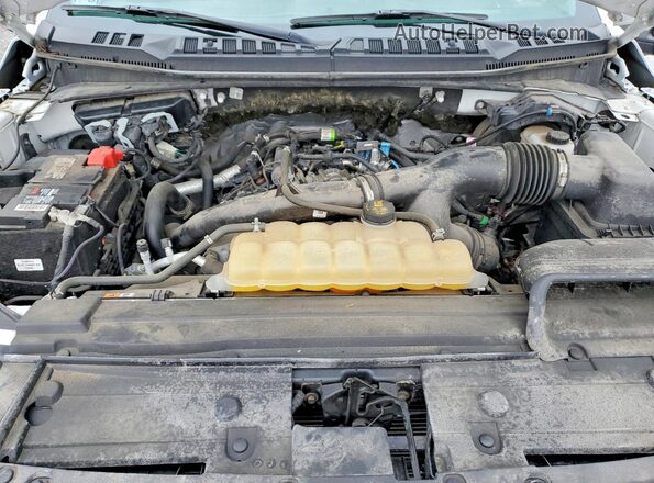 1FTMF1EP0LKE21138 2020 FORD F150 White 