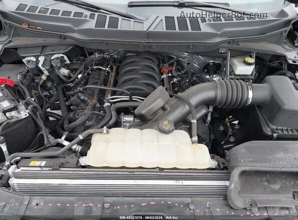 1FTMF1K56RKF44566 2024 FORD F150 Black Вид ззаду