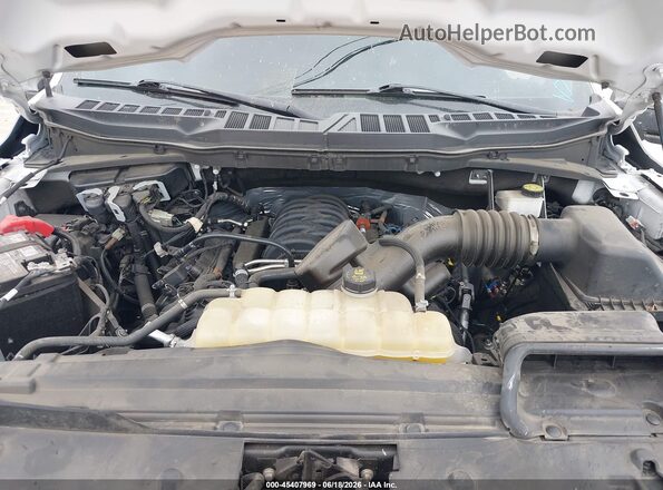 1FTMF1K5XRKD17106 2024 FORD F150 White Widok z tyłu