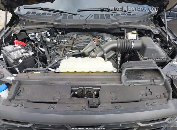 1FTMF1K5XRKD46640 2024 FORD F150 Black Вид ззаду