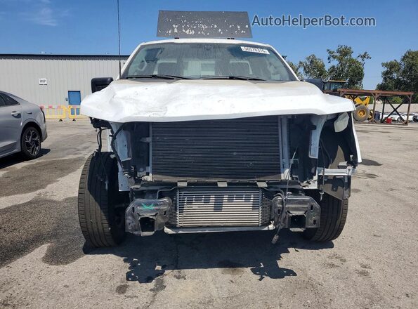 1FTMF1KP0RKD31534 2024 FORD F150 White Вид спереду