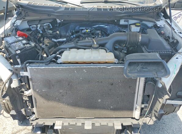 1FTMF1KP0RKD31534 2024 FORD F150 White Вид задньої частини салону