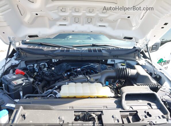 1FTMF1KP0SKD78262 2025 FORD F150 White Вид ззаду
