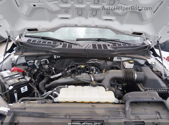 1FTMF1KP1RKF24047 2024 FORD F150 White 
