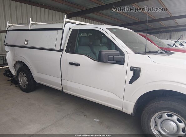 1FTMF1KP1RKF24047 2024 FORD F150 White 