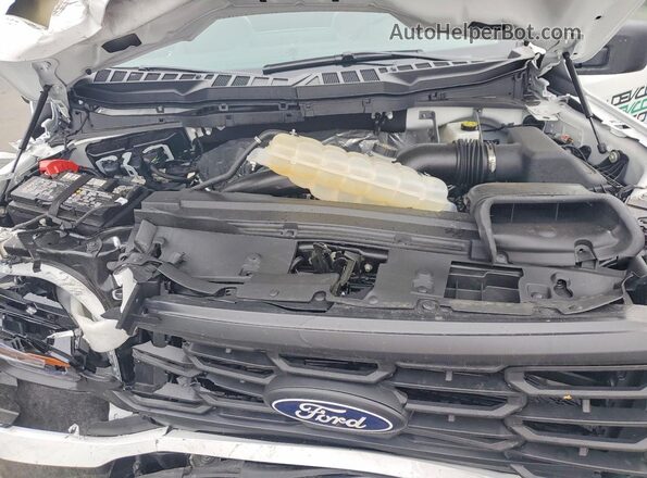 1FTMF1KP2TKD06383 2026 FORD F150 White 