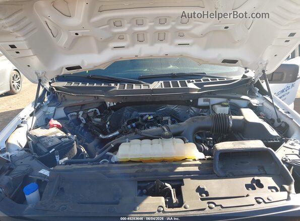 1FTMF1KP4RKE75894 2024 FORD F150 White 
