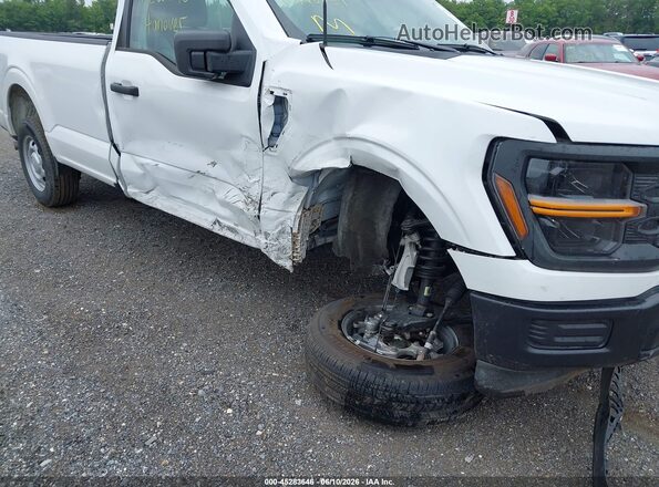1FTMF1KP4RKE75894 2024 FORD F150 White 