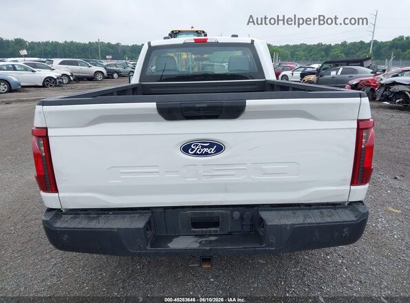 1FTMF1KP4RKE75894 2024 FORD F150 White 