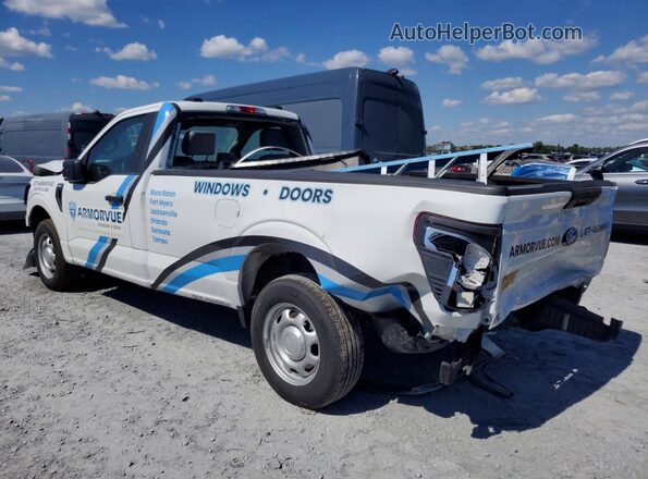 1FTMF1KP6SKD73065 2025 FORD F150 White Tył lewy