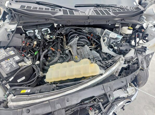 1FTMF1L53SKD23902 2025 FORD F150 White Вид задньої частини салону