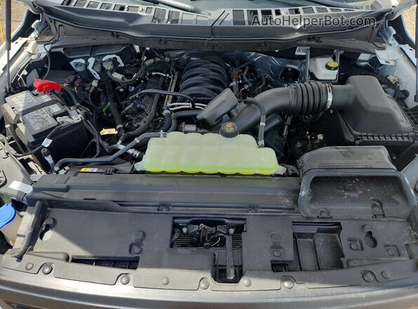 1FTMF1L54SKD17851 2025 FORD F150 White Widok wnętrza z tyłu