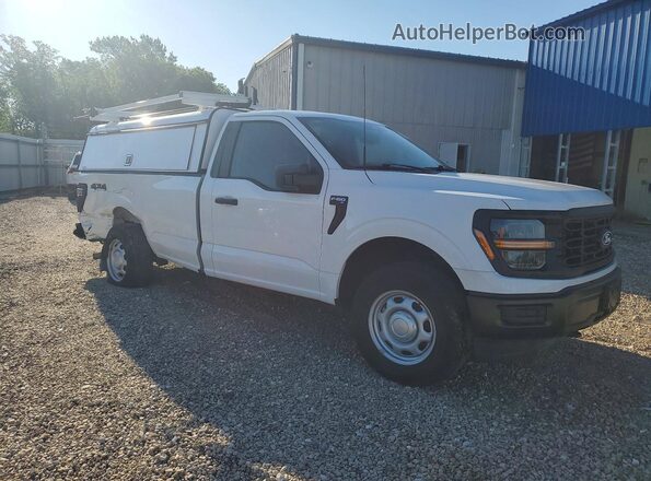 1FTMF1LP3RKE02658 2024 FORD F150 Белый Передняя правая четверть