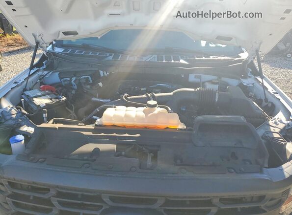 1FTMF1LP3RKE02658 2024 FORD F150 Белый Вид задней части салона