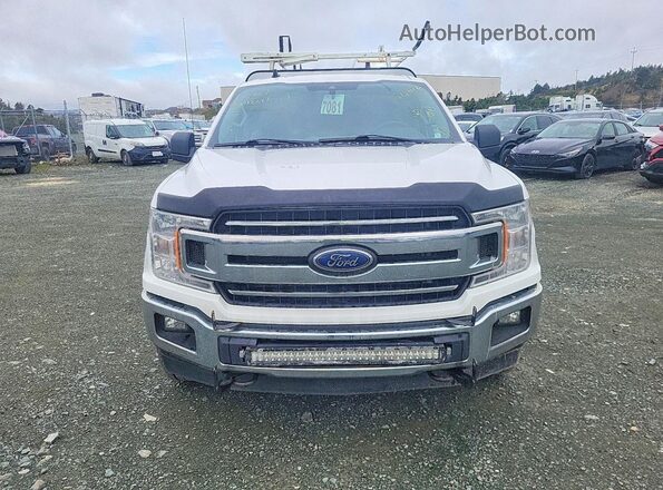 1FTNF1E45LKE29584 2020 FORD F150 White 