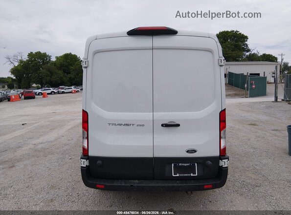 1FTYR2CM2KKB28024 2019 FORD TRANSIT-250 White 