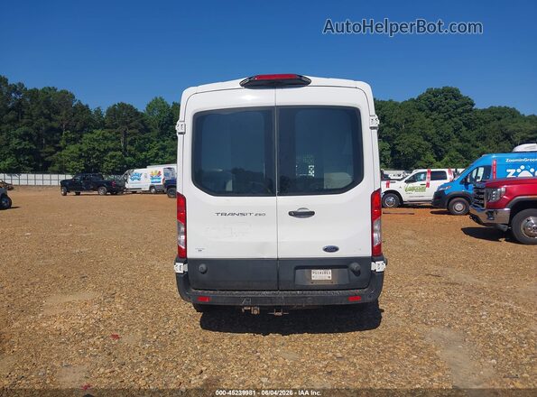 1FTYR2CM3KKB18229 2019 FORD TRANSIT-250 Белый 