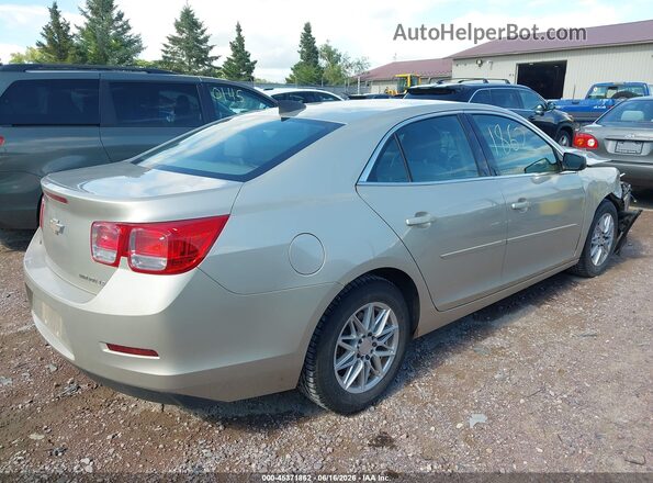 1G11B5SA5GF101892 2016 CHEVROLET MALIBU Beige Tył prawy