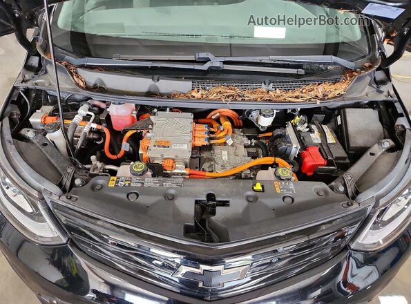 1G1FY6S01M4102983 2021 CHEVROLET BOLT Black Widok wnętrza z tyłu