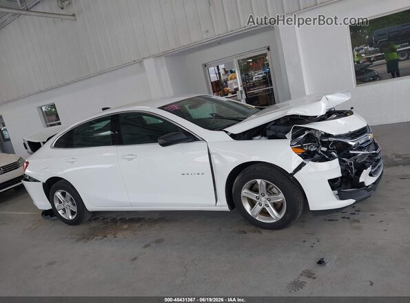 1G1ZB5ST2PF116354 2023 CHEVROLET MALIBU Белый Вид задней части салона