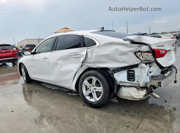 1G1ZB5ST5RF240427 2024 CHEVROLET MALIBU White Задня ліва чверть