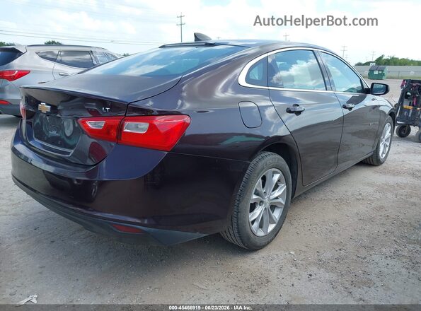 1G1ZB5ST7LF016664 2020 CHEVROLET MALIBU Purple უკანა მარჯვენა
