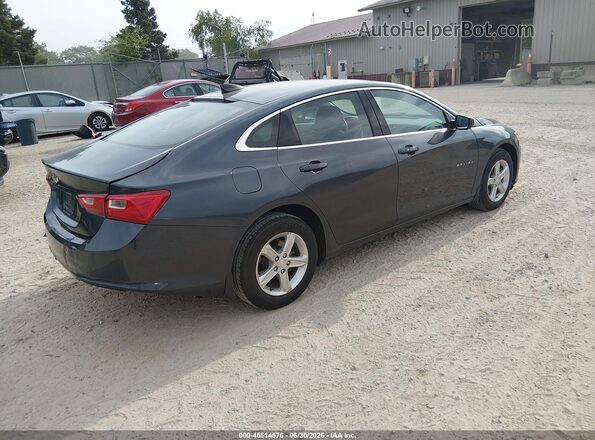 1G1ZB5STXKF176486 2019 CHEVROLET MALIBU Light Blue უკანა მარჯვენა