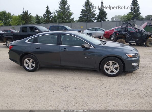 1G1ZB5STXKF176486 2019 CHEVROLET MALIBU Light Blue უკანა სალონის ხედი