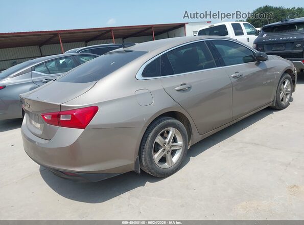 1G1ZB5STXNF191347 2022 CHEVROLET MALIBU Beige Tył prawy