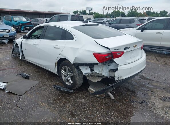 1G1ZB5STXRF184923 2024 CHEVROLET MALIBU White უკანა მარცხენა