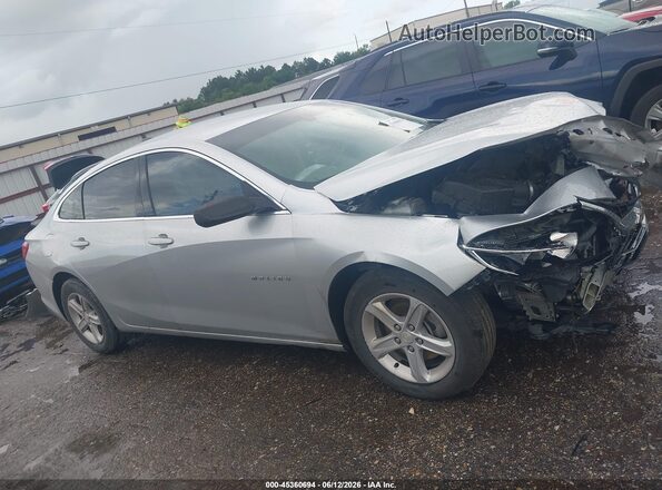 1G1ZC5ST0LF021671 2020 CHEVROLET MALIBU Silver Սալոնի հետևի տեսք